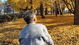 お客様の声画像