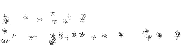 お金の不安を感じたことはありませんか？